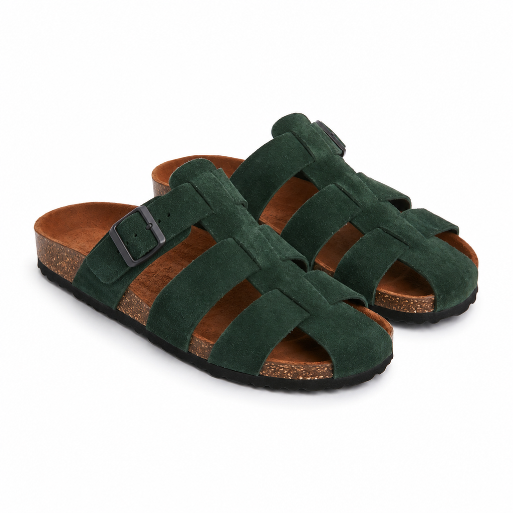 ALV-SS-CEDAR