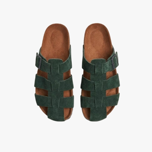 ALVE CEDAR
