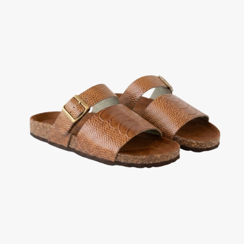 ALVE STRIPE (Sepia)