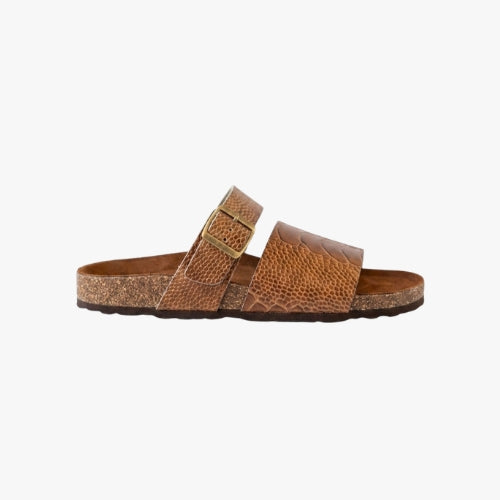 ALVE STRIPE (Sepia)